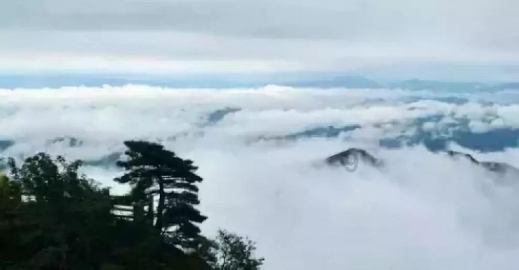 拯救精灵的土地5